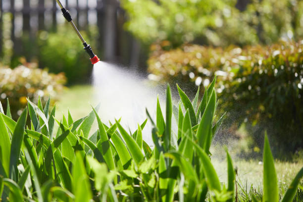 Tamper-Resistant Bait Stations for Rodents in Isle of Hope