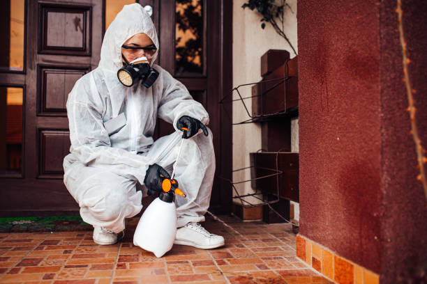 Attic and Crawl Space Rodent Treatment in Isle of Hope