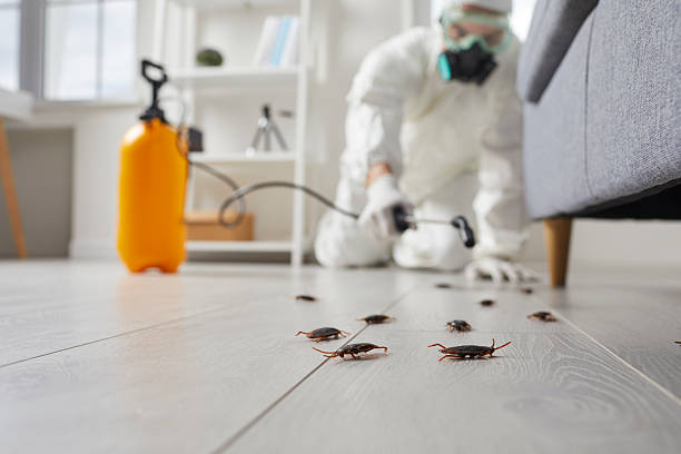 Commercial Rodent Management in Isle of Hope